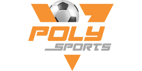 বিকাশ partner logo